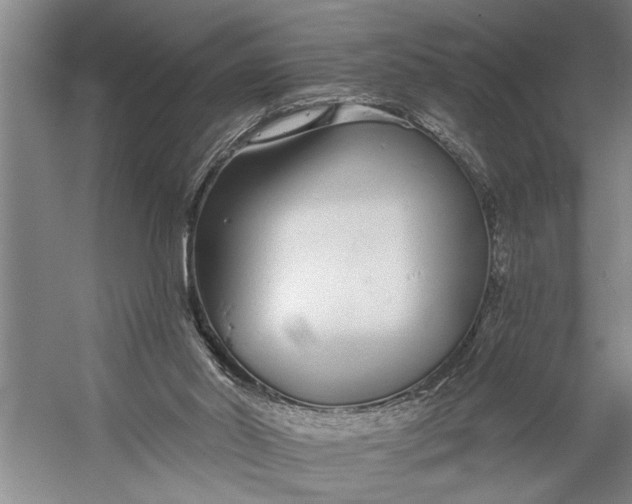 X0000056310014200509161629