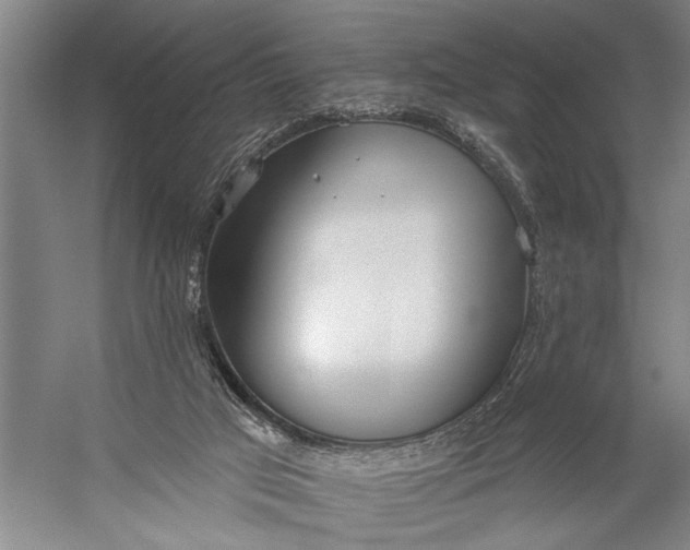 X0000056310017200509161629