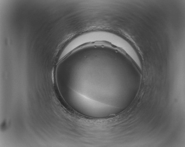 X0000056310019200509161629
