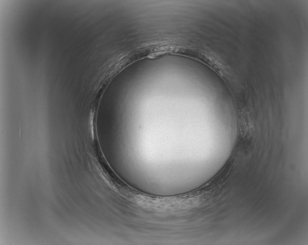 X0000056310022200509161629