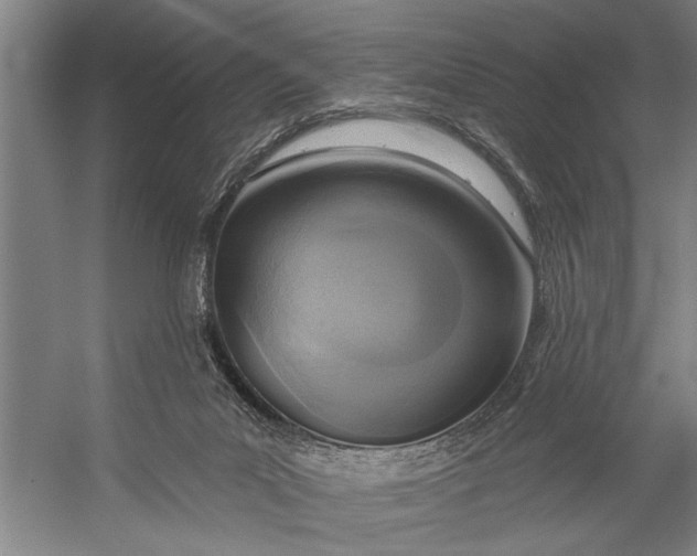 X0000056310023200509161629
