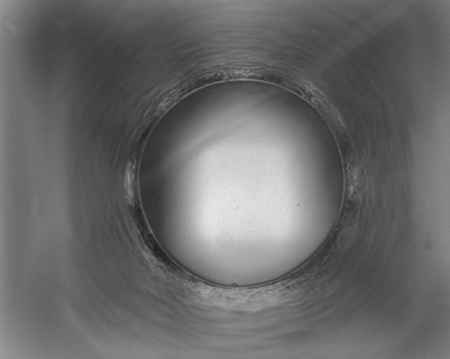X0000056310026200509161629