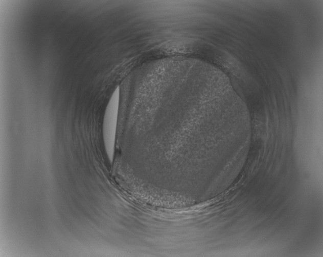 X0000056310029200509161629