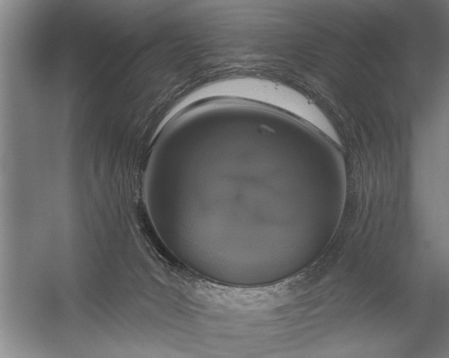 X0000056310031200509161629