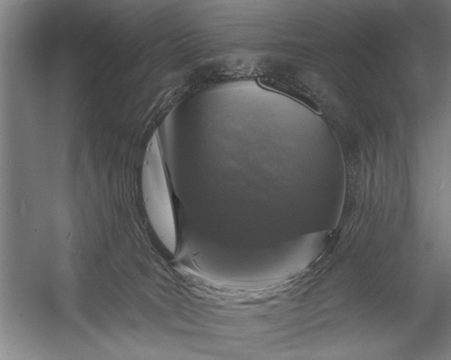 X0000056310035200509161629