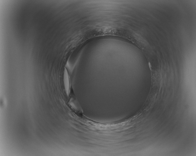 X0000056310039200509161628
