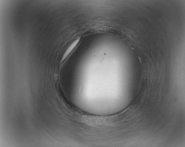 X0000056310040200509161628
