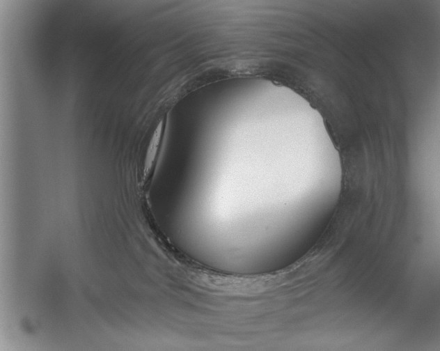 X0000056310044200509161628