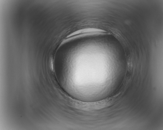 X0000056310046200509161628