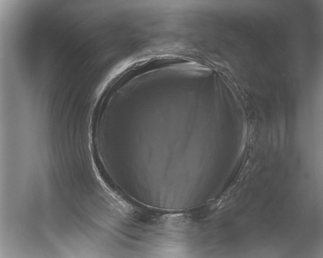 X0000056310054200509161628