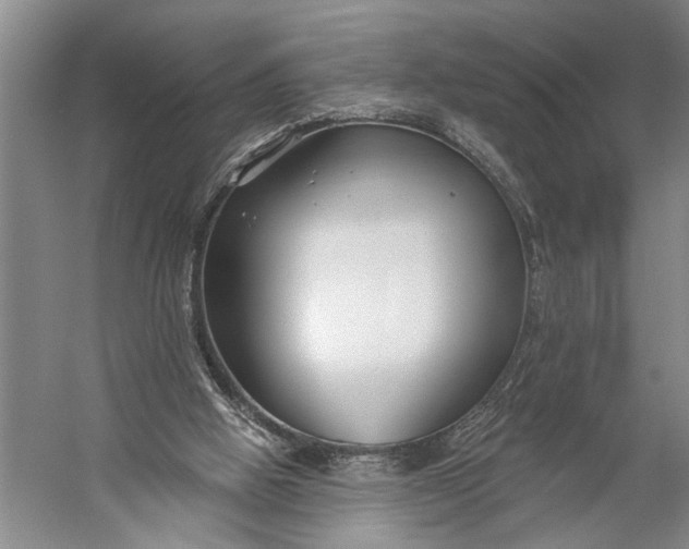 X0000056310058200509161628