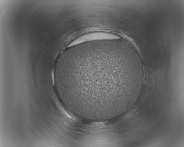 X0000056310061200509161628