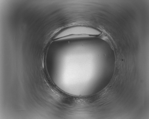 X0000056310062200509161628