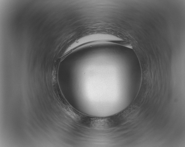 X0000056310081200509161628