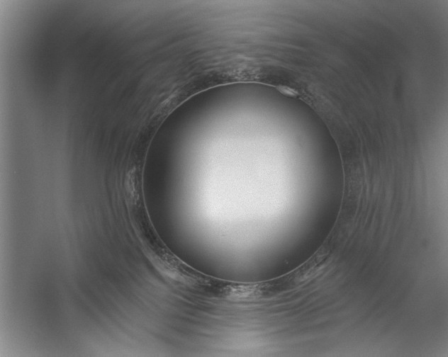 X0000056310088200509161628