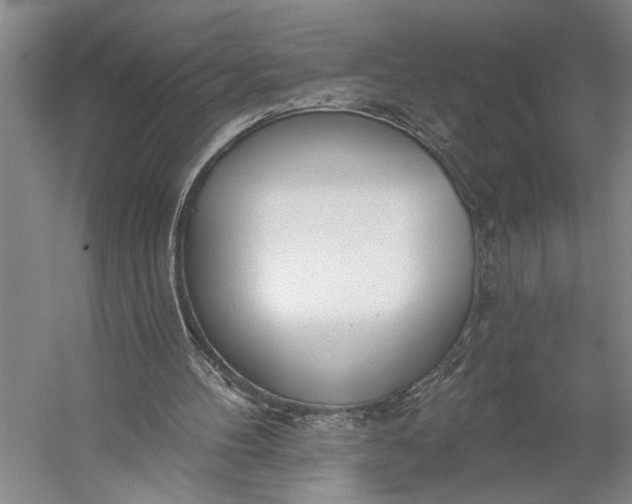 X0000056310100200509161627