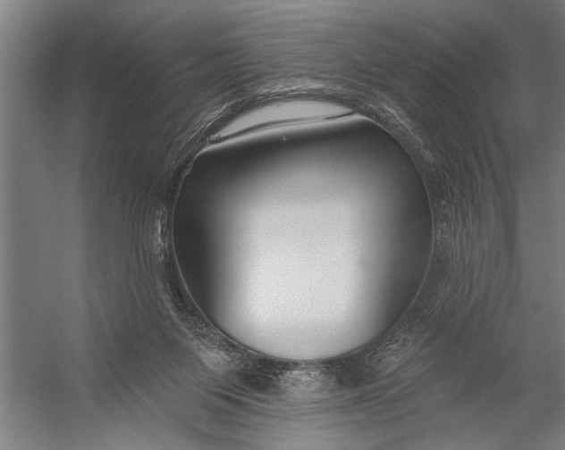 X0000056310119200509161627