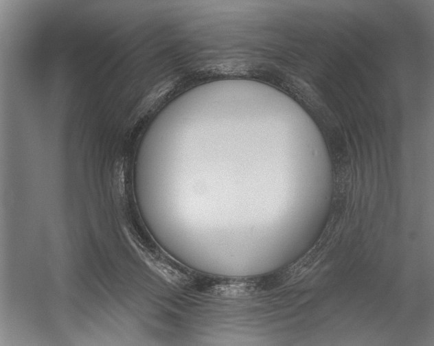 X0000056310120200509161627