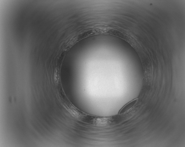 X0000056310134200509161627