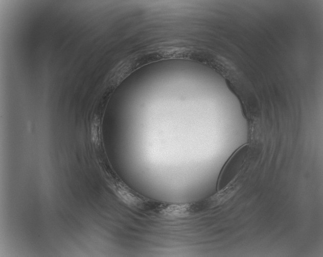 X0000056310138200509161627