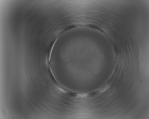X0000056310143200509161627