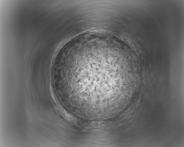 X0000056310145200509161626