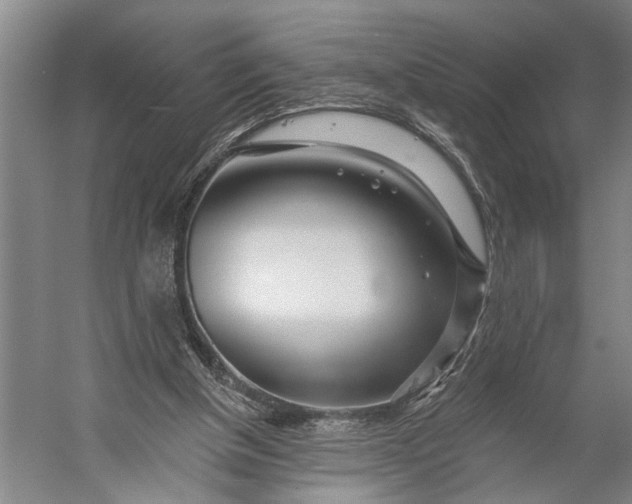 X0000056310154200509161626