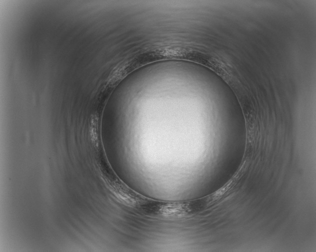 X0000056310175200509161626