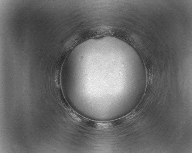 X0000056310185200509161627