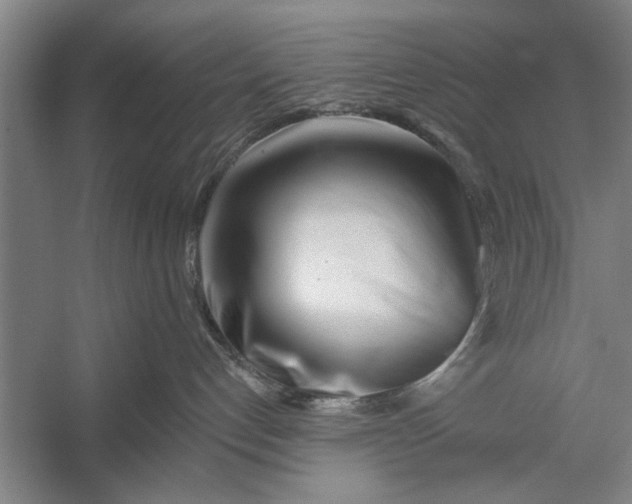 X0000056310192200509161627