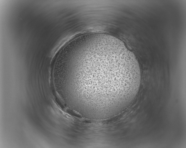 X0000056310194200509161626