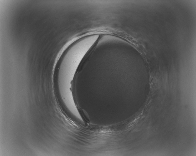 X0000056310200200509161626
