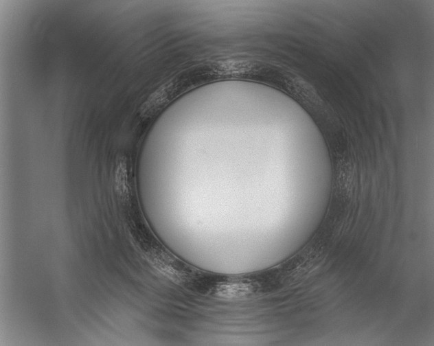 X0000056310220200509161625