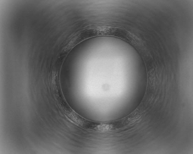 X0000056310225200509161625