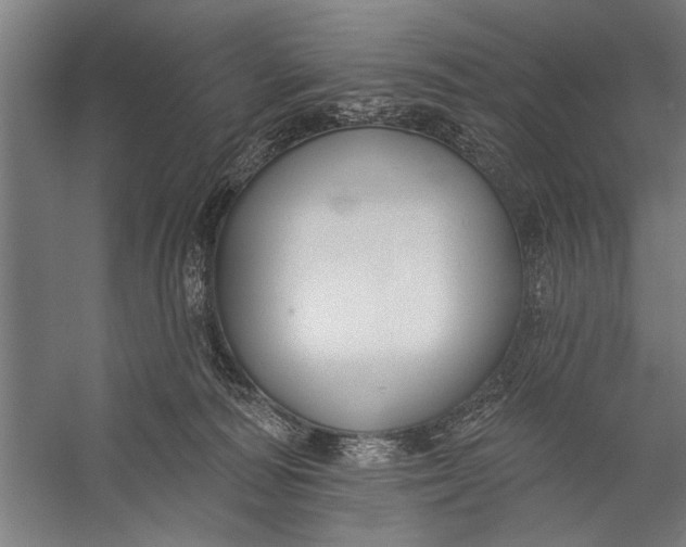 X0000056310226200509161625