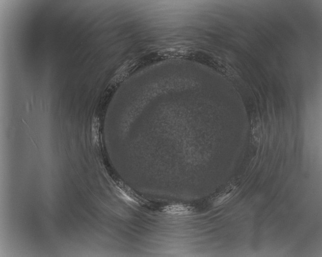 X0000056310231200509161625