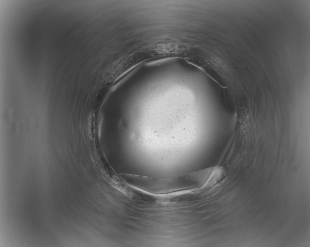 X0000056310233200509161625