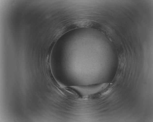 X0000056310239200509161625