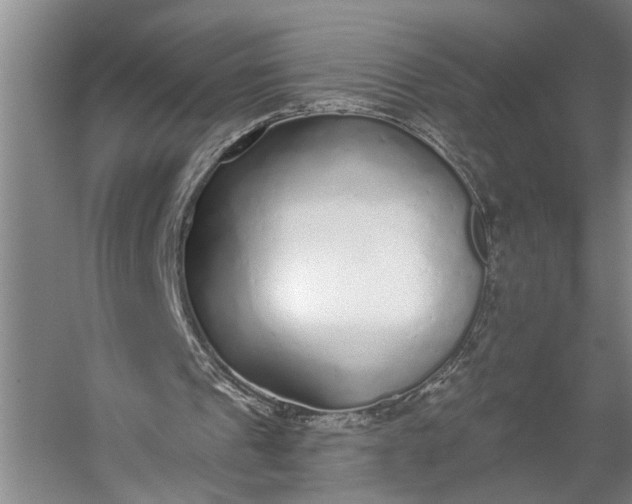 X0000056310241200509161624
