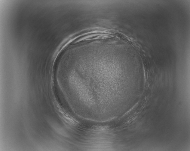 X0000056310247200509161624