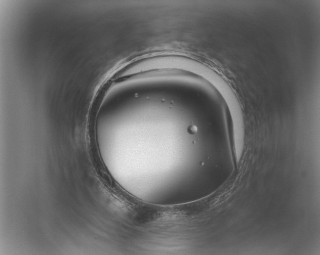 X0000056310248200509161624