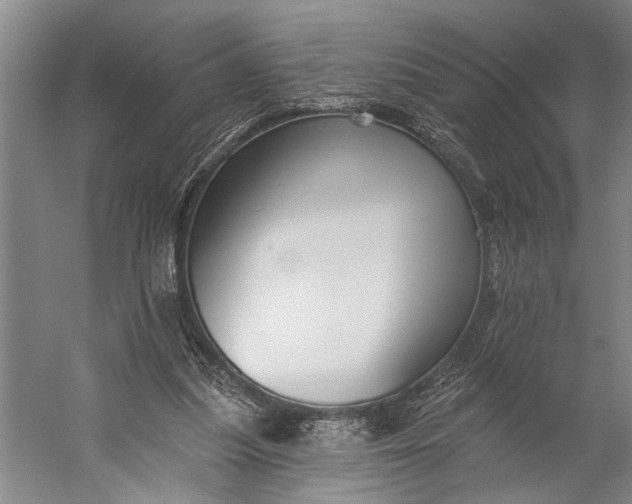 X0000056310251200509161624