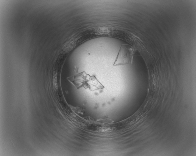X0000056310267200509161625