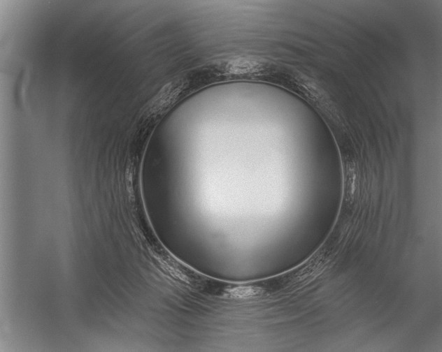 X0000056310269200509161625