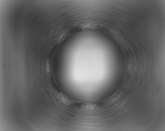 X0000056310282200509161625