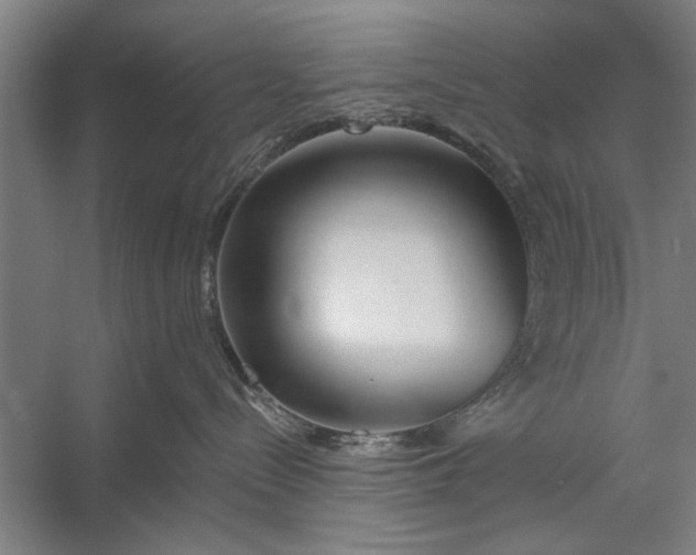 X0000056310288200509161625