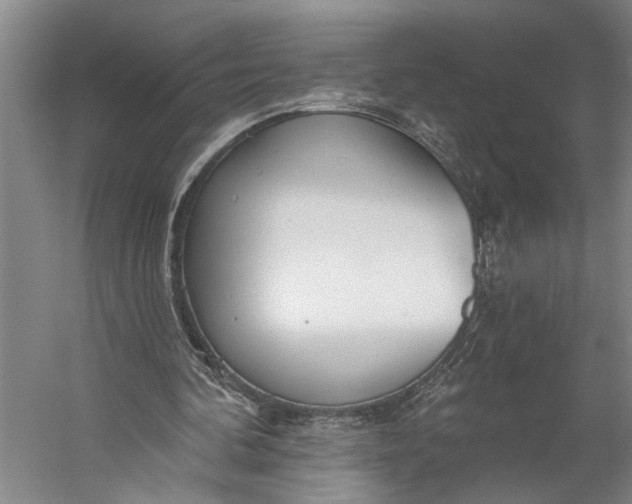 X0000056310292200509161624