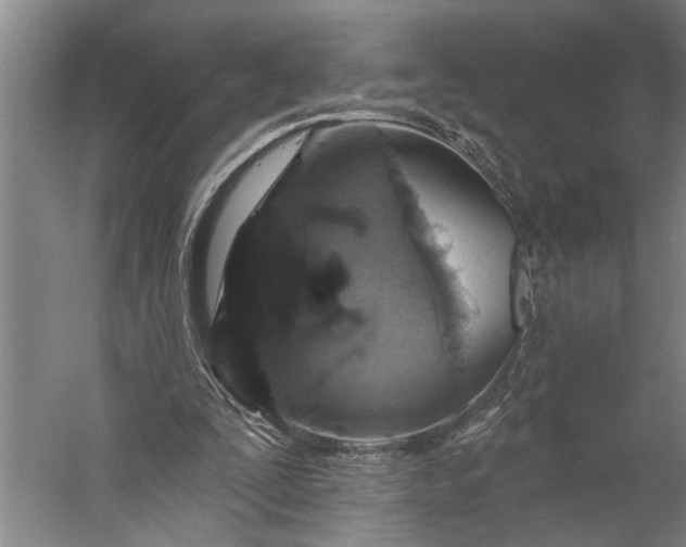 X0000056310295200509161624