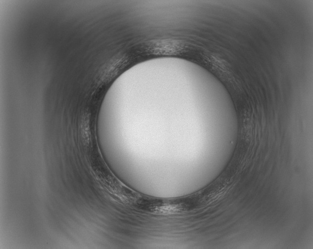 X0000056310312200509161624
