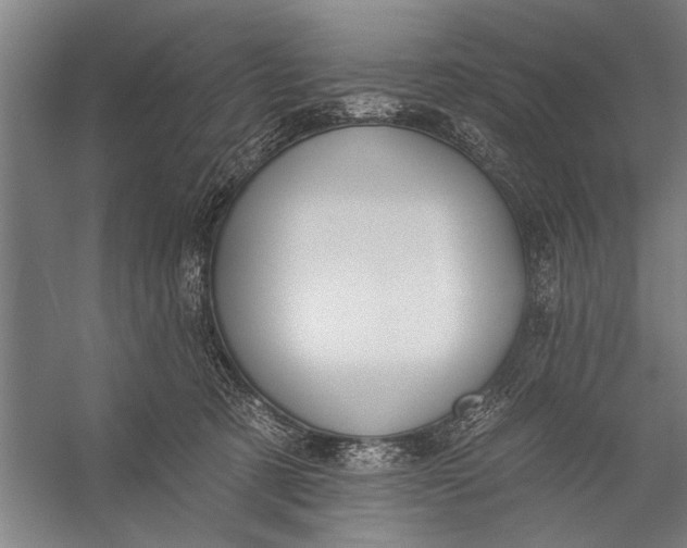 X0000056310321200509161624